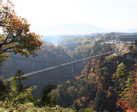 九重”夢”大吊橋イメージ